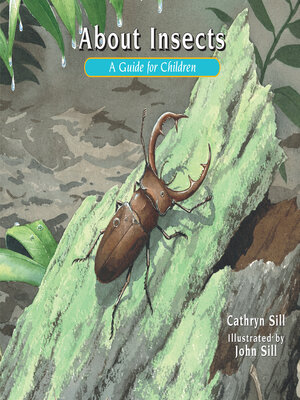 cover image of About Insects
